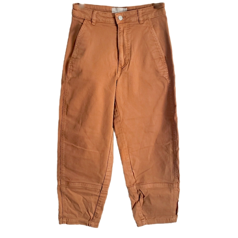 Everlane Cropped Ankle Pants in Rust Brown